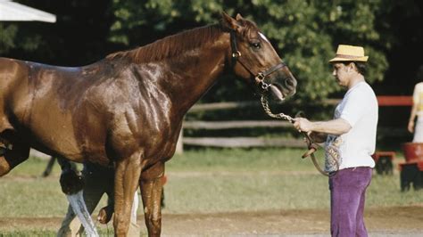 secretariat belmont stakes 1973